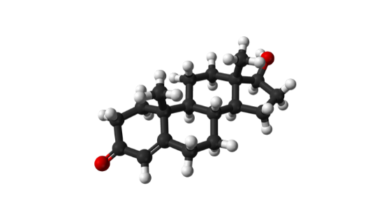 testosterone molecola