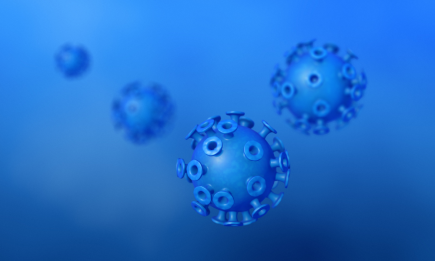 papilloma virus uomini